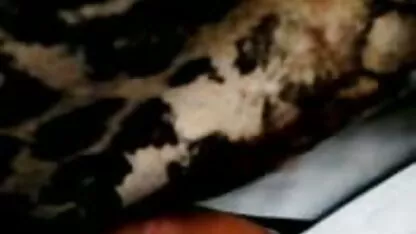 Comando padrona Mulatto schiavo a film hard migliori leccare piede lungo nero